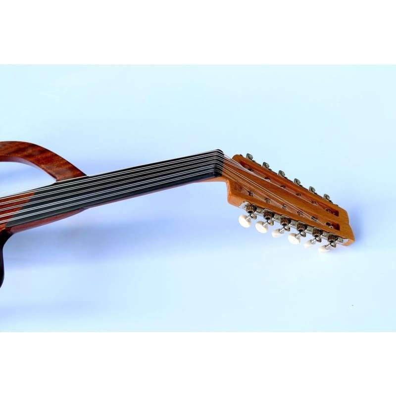 عود الکتریک ترکی ماهاگونی AOS-101G از Sala