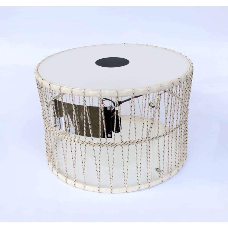 داوول Trir Music ED-303 با نمایشگر نور LED