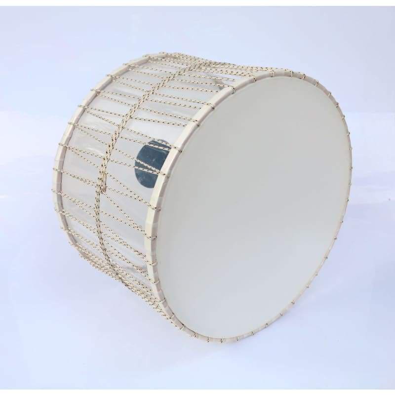 داوول حرفه‌ای Trir Music ED-303 با جلوه‌های نوری