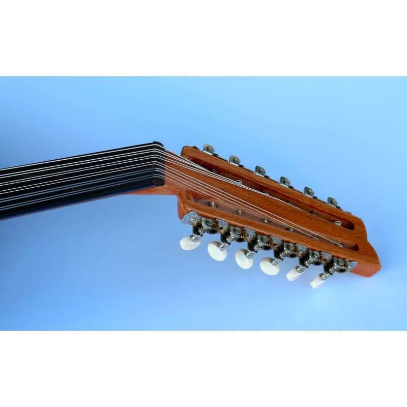 عود الکتریک حرفه‌ای ترکی AOH-302G با سیستم پیکاپ داخلی