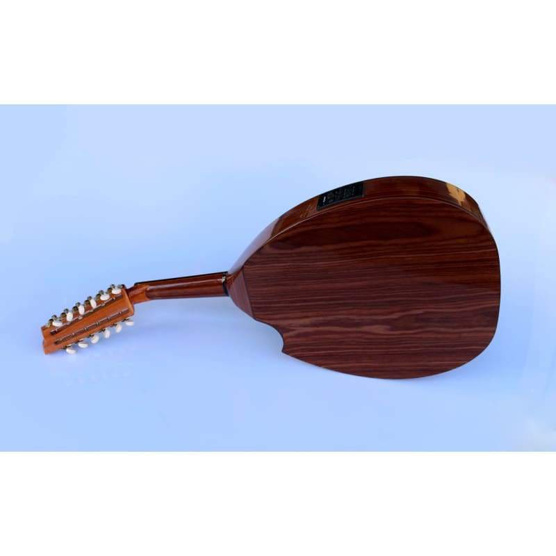 عود الکتریک ترکی AOH-302G ساخت Sala Muzik